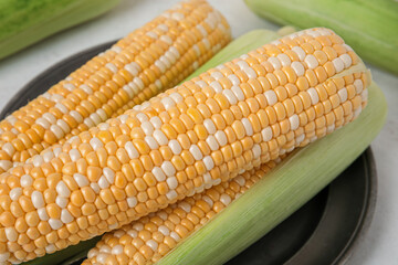 Plate with fresh corn cobs on light background