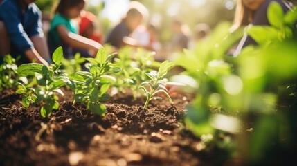 As part of their physical education class, students take a break from traditional sports activities to tend to the schools vegetable and herb garden, fostering a sense of responsibility and