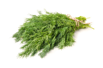 Bunch of fresh dill on white background