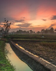 views of mountains and rice fields with irrigation at sunrise