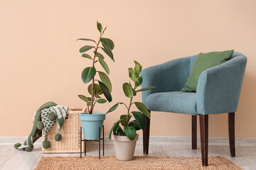 Stylish blue armchair and houseplants near beige wall