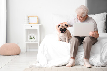 Senior woman with pug dog using laptop in bedroom