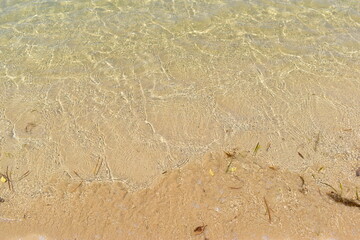 阿川ほうせんぐり海浜公園　海　山口