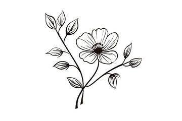 Minimalistic vintage line art floral design isolated on a Transparent background. Generative AI