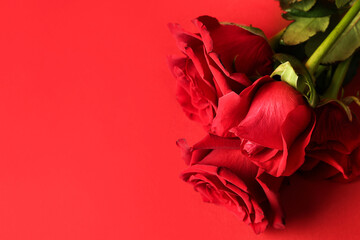 Bouquet of beautiful rose flowers on red background. Valentine's Day celebration
