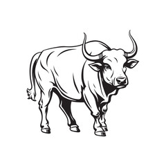 Cow Image Vector, Illustration Of a Cow