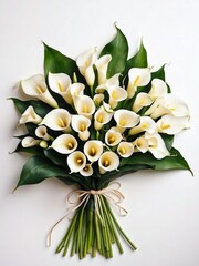 A bouquet of beautiful and elegant lilies flower isolated in white background