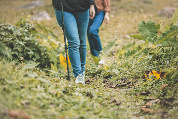 people nature tourist walking trekking adventure in to the forest national park holiday activity healthy lifestyle