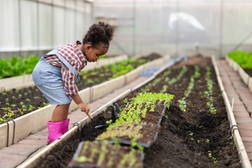 African black child playing planting the green tree gardening in agriculture farm. Children love...