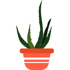 Potted Aloe Vera Plant