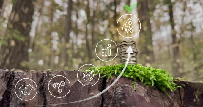 Business growth success achievement concept.Finance and business concept. Stack of coins and growth chart. Investment graph and rows growth of coins. Concept of investing and financial management. 4k 