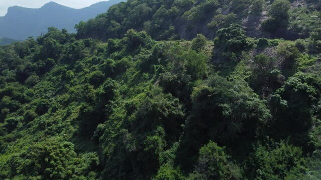 Drone shot of Aliyar Reserve Forest, Coimbatore, Tamil Nadu, South India