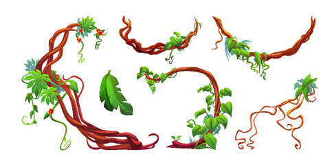 Twisted liana branch with green leaves and flowers. Cartoon vector illustration of jungle long tangled climbing plant vine with foliage. Game ui design assets of creeper ivy tree trunk with vegetation © klyaksun