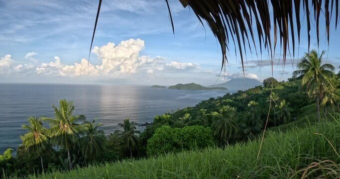 Palm tree hillside overlooking sea and islands at Bato Ni Ningning in San Vicente Palawan