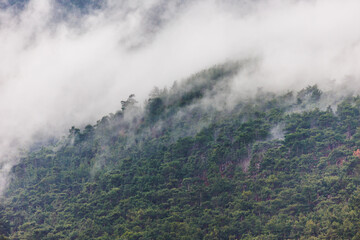 Mountain landscape. rain clouds over the forest. Turkey.