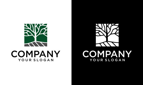 Creative Dry tree vector logo. tree features. this logo is decorative, modern, clean and simple.