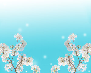 Flower and light; background or texture; spring concept
