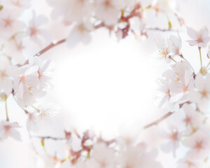 Flower and light; background or texture; spring concept