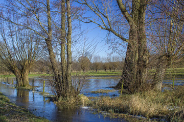 German countryside landscape with trees in winter, Lower Rhine Region, Germany