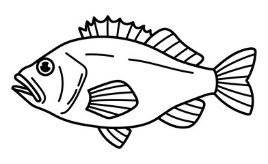 アコウダイ（メヌケ）