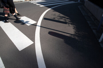 Afternoon shadows and white road lines