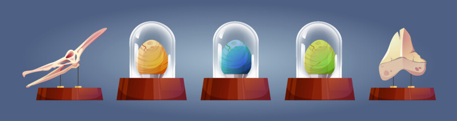 Historical paleontology museum showpiece on stand under glass protection dome. Cartoon vector set of archaeological artifact - dinosaur skeleton bone and skull, colorful eggs of prehistoric animals. © klyaksun