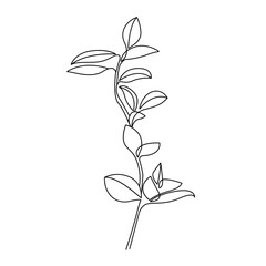Continuous Line Drawing Of Plant Black Sketch of Flower Isolated on White Background. Flower with Leaves One Line Illustration. Minimalist Botanical Print. Vector EPS 10
