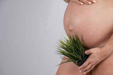 Faceless pregnant woman holding a plant. Metaphor for epilation of the bikini area. 