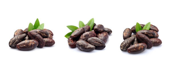 Collage of cacao bean on white backgrounds