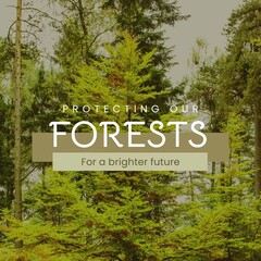 Fototapeta premium Composite of protecting our forests for a brighter future text over lush trees growing in forest