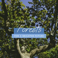 Fototapeta premium Composite of protecting our forests for a brighter future text over trees growing in forest
