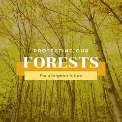Fototapeta premium Composite of protecting our forests for a brighter future text and beautiful trees growing in forest