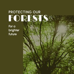 Fototapeta premium Composite of protecting our forests for a brighter future text, sun shining through trees in forest
