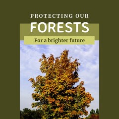 Fototapeta premium Composite of protecting our forests for a brighter future text over tree growing under sky in forest