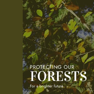 Composite of protecting our forests for a brighter future text over leaves growing on plants