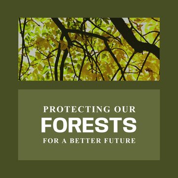 Composite of protecting our forests for a brighter future text over leaves growing on tree branches