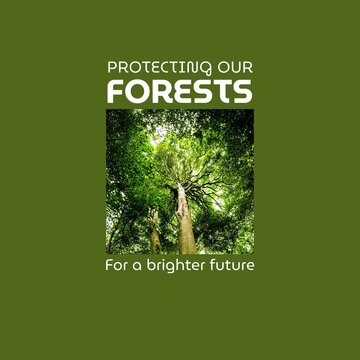 Composite of lush tree growing in woods with protecting our forests for a brighter future text