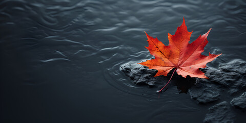 A red maple leaf floating in the water in the style of dark orange Autumnal Tranquility: Red Maple Leaf Afloat 