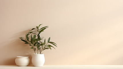 aesthetic cream color wall background with flower in vase