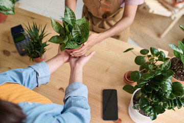 High angle shot of seller passing pot with houseplant to female customer at plant store
