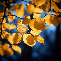 Autumnal yellow leaves in the forest. Selective focus.