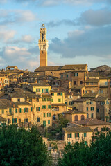 Fototapeta premium Medieval city of Siena, Italy