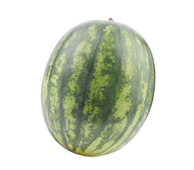 Sonya Watermelon on transparent png