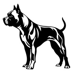 Obraz premium Standing american pit bull terrier dog, american pit bull terrier Dog monochrome clip art. Vector illustration