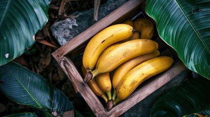  a wooden crate filled with ripe bananas next to a bunch of large green leafy plants and a stone wall.