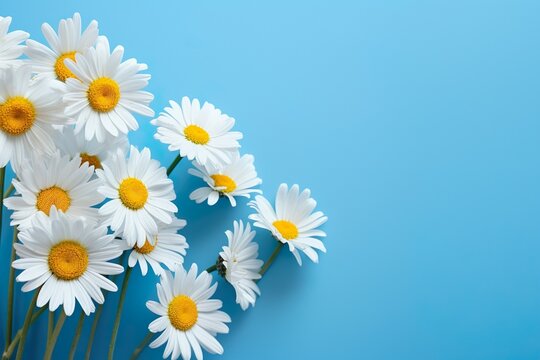 white daisy frame with copy space minimalist theme background generative ai 