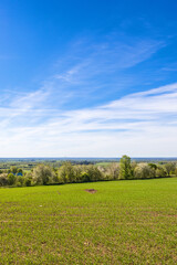Landscape view from a green field in the spring