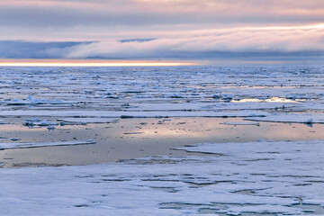 Beautiful view at the arctic ocean with ice