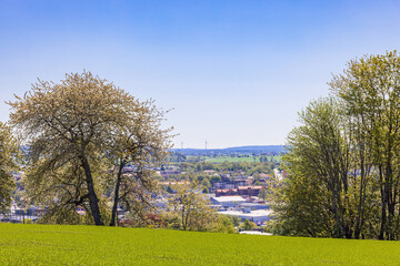City view with blooming trees in spring