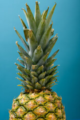 Ananas z czupryną w zbliżeniu na niebieskim tle © Paweł Kacperek